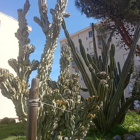 Grand ! Appartement Canet-en-Roussillon